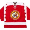 Plattsburgh Pioneers Hockey Jersey
