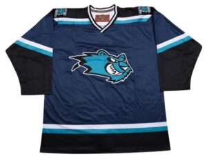Worcester IceCats Retro Hockey Jersey