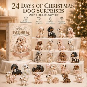 Philadelphia2BEagles2B20262BChristmas2BAdvent2BCalendar 2 4g0sp.jpg
