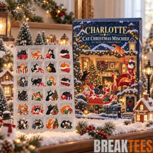 Cat Advent Calendar 2026 - 24 Day Christmas Countdown with Cute Kitty Acrylic Ornaments 1
