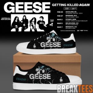 Geese Getting Killed Again Tour Stan Smith Shoes